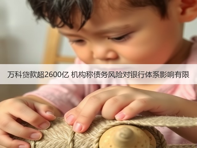 万科贷款超2600亿 机构称债务风险对银行体系影响有限(图1) 万科贷款超2600亿 机构称债务风险对银行体系影响有限(图1)