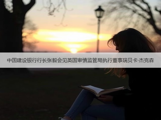 中国建设银行行长张毅会见英国审慎监管局执行董事瑞贝卡·杰克森(图3)