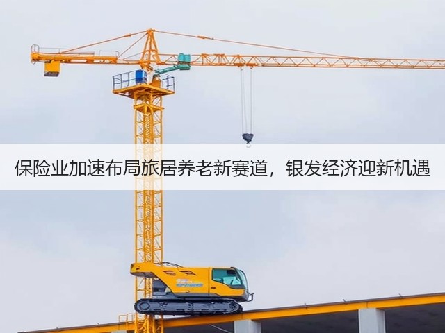保险业加速布局旅居养老新赛道，银发经济迎新机遇(图2)