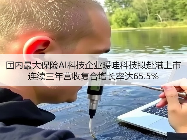 国内最大保险AI科技企业暖哇科技拟赴港上市 连续三年营收复合增长率达65.5%(图3) 国内最大保险AI科技企业暖哇科技拟赴港上市 连续三年营收复合增长率达65.5%(图3)