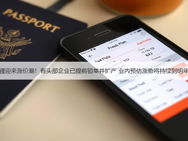 磷酸铁锂迎来涨价潮！有头部企业已提前锁单并扩产 业内预估涨势将持续到明年四季度(图1)