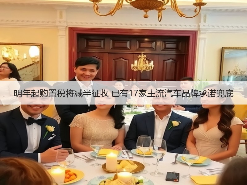 明年起购置税将减半征收 已有17家主流汽车品牌承诺兜底
