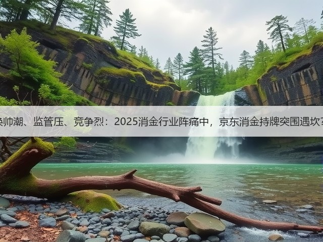 换帅潮、监管压、竞争烈:2025消金行业阵痛中,京东消金持牌突围遇坎?(图2) 换帅潮、监管压、竞争烈:2025消金行业阵痛中,京东消金持牌突围遇坎?(图2)