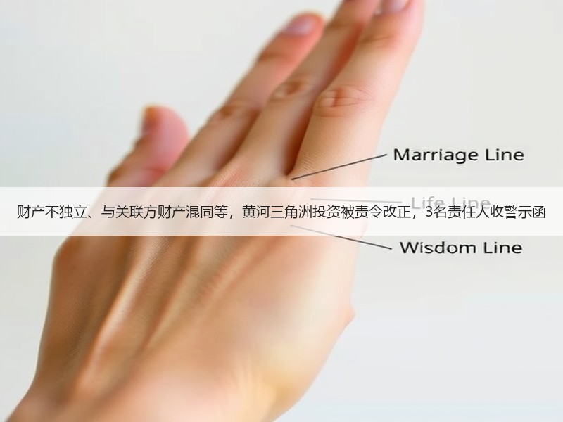 财产不独立、与关联方财产混同等，黄河三角洲投资被责令改正，3名责任人收警示函