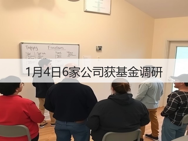 1月4日6家公司获基金调研(图3) 1月4日6家公司获基金调研(图3)