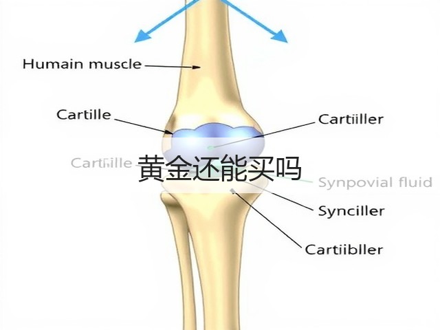 黄金还能买吗(图1) 黄金还能买吗(图1)