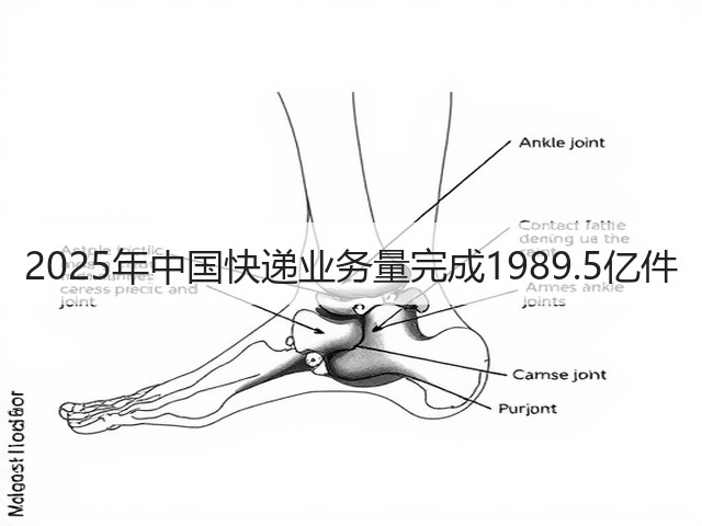 2025年中国快递业务量完成1989.5亿件(图3) 2025年中国快递业务量完成1989.5亿件(图3)