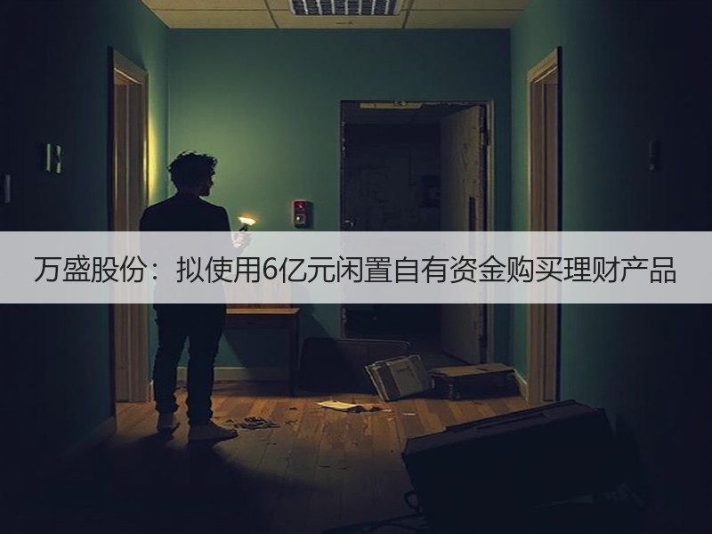 万盛股份：拟使用6亿元闲置自有资金购买理财产品