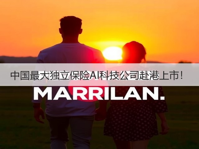 中国最大独立保险AI科技公司赴港上市!(图3) 中国最大独立保险AI科技公司赴港上市!(图3)