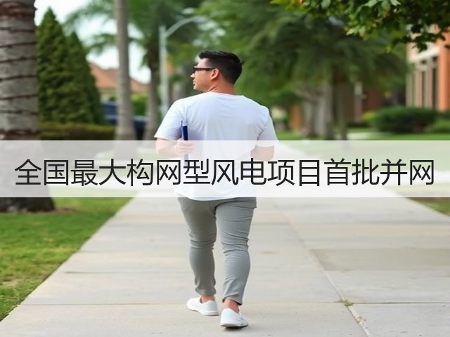 全国最大构网型风电项目首批并网(图1) 全国最大构网型风电项目首批并网(图1)