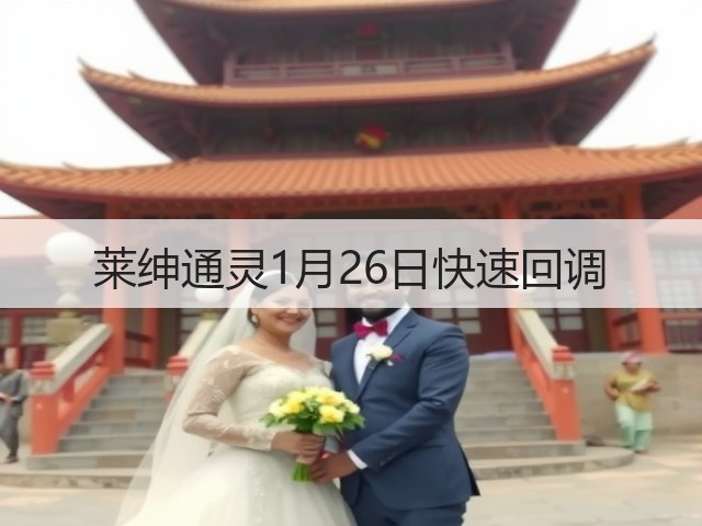 莱绅通灵1月26日快速回调(图2)