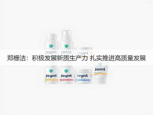 郑栅洁:积极发展新质生产力 扎实推进高质量发展(图3) 郑栅洁:积极发展新质生产力 扎实推进高质量发展(图3)