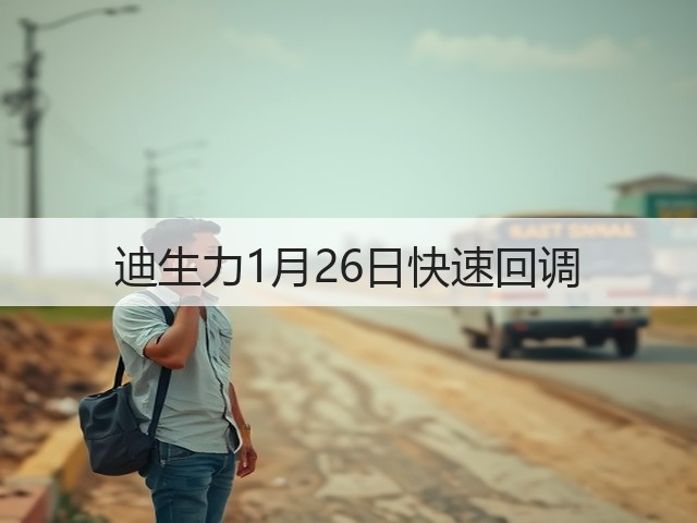 迪生力1月26日快速回调(图3)