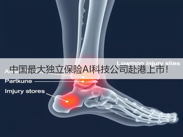中国最大独立保险AI科技公司赴港上市!(图2) 中国最大独立保险AI科技公司赴港上市!(图2)