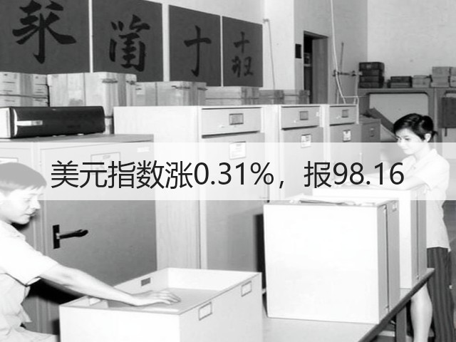 美元指数涨0.31%，报98.16(图3)