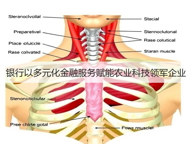 银行以多元化金融服务赋能农业科技领军企业(图1) 银行以多元化金融服务赋能农业科技领军企业(图1)
