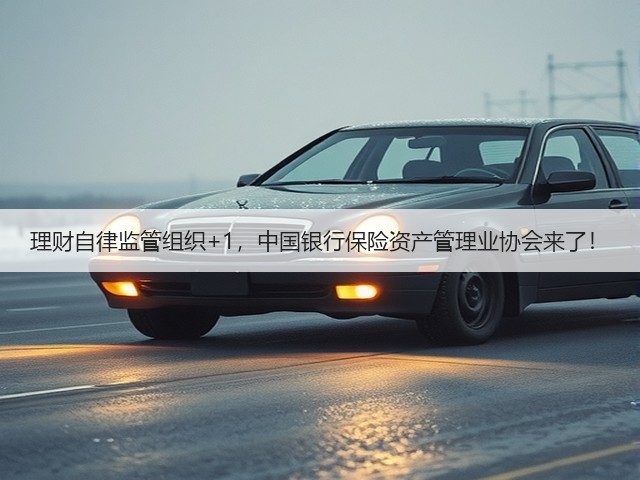 理财自律监管组织+1,中国银行保险资产管理业协会来了!(图3) 理财自律监管组织+1,中国银行保险资产管理业协会来了!(图3)