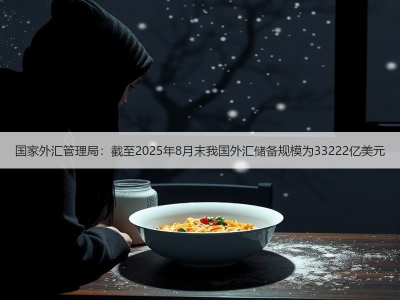 国家外汇管理局：截至2025年8月末我国外汇储备规模为33222亿美元