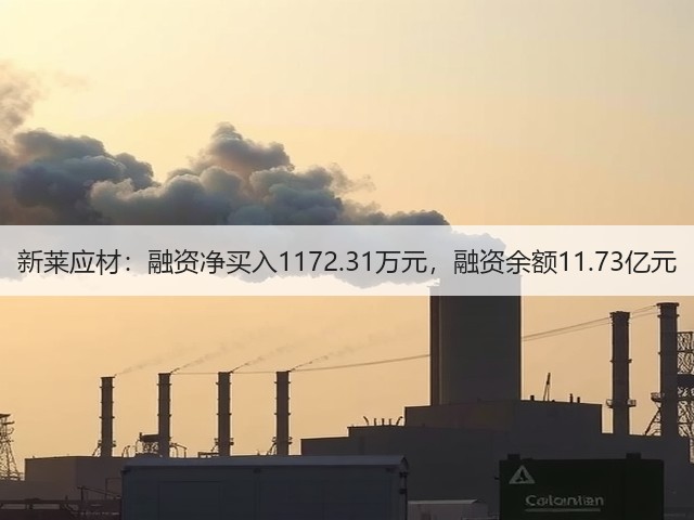 新莱应材:融资净买入1172.31万元,融资余额11.73亿元(图2) 新莱应材:融资净买入1172.31万元,融资余额11.73亿元(图2)