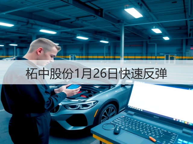 柘中股份1月26日快速反弹(图3) 柘中股份1月26日快速反弹(图3)