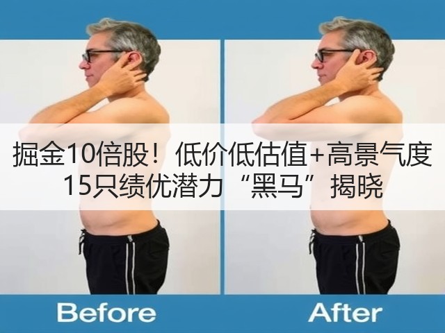 掘金10倍股！低价低估值+高景气度 15只绩优潜力“黑马”揭晓(图2)