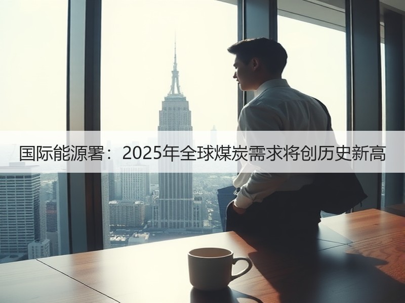 国际能源署：2025年全球煤炭需求将创历史新高