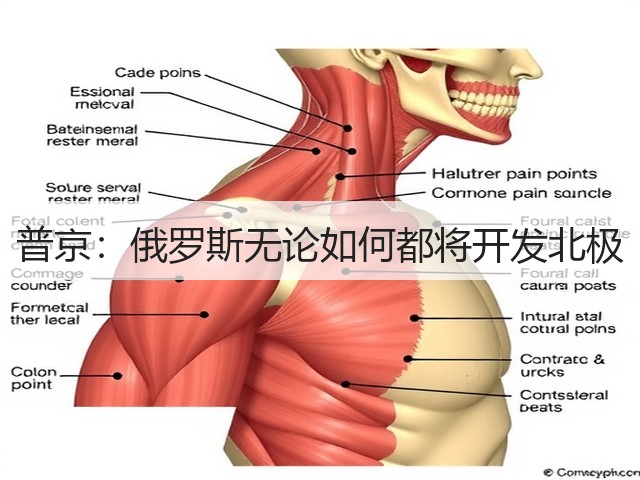 普京：俄罗斯无论如何都将开发北极(图1)