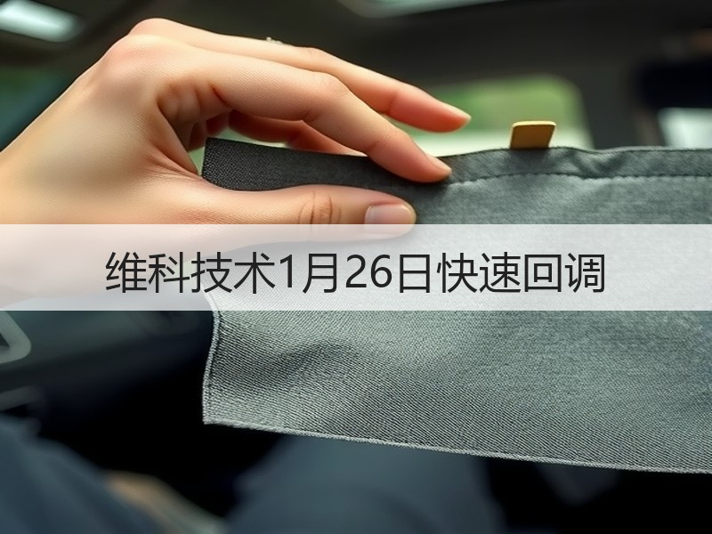 维科技术1月26日快速回调