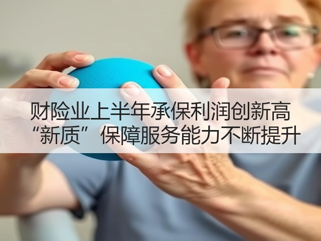财险业上半年承保利润创新高 “新质”保障服务能力不断提升(图1)