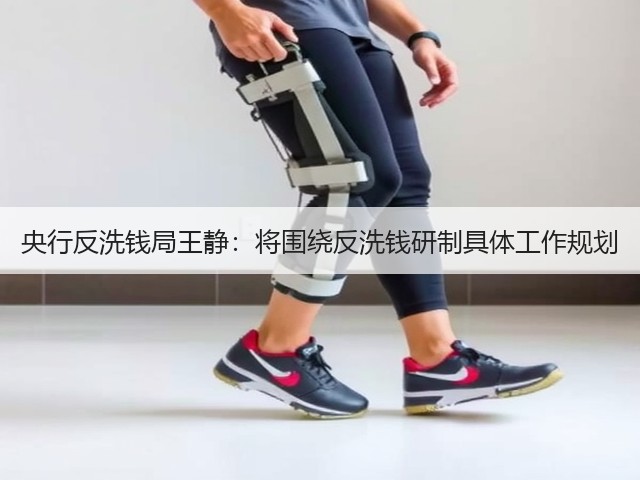 央行反洗钱局王静：将围绕反洗钱研制具体工作规划(图3)