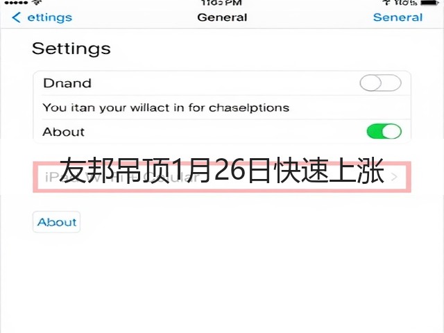 友邦吊顶1月26日快速上涨(图1) 友邦吊顶1月26日快速上涨(图1)