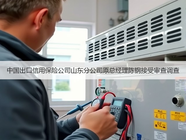 中国出口信用保险公司山东分公司原总经理陈钢接受审查调查(图2) 中国出口信用保险公司山东分公司原总经理陈钢接受审查调查(图2)