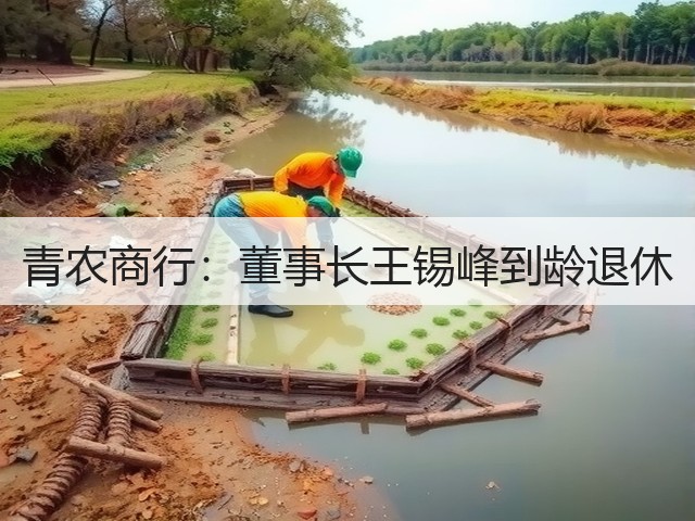 青农商行:董事长王锡峰到龄退休(图2) 青农商行:董事长王锡峰到龄退休(图2)