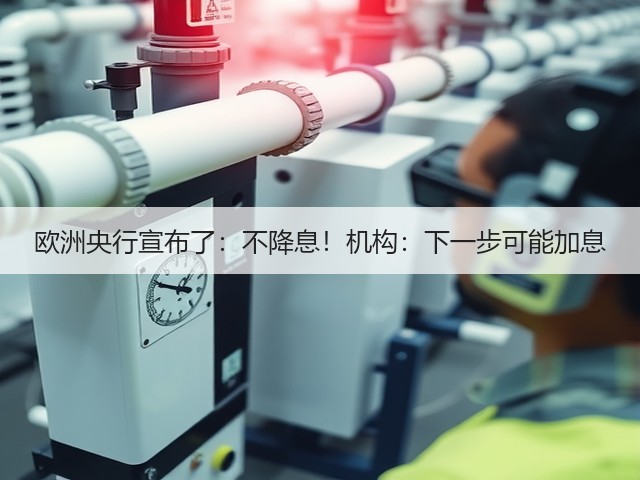 欧洲央行宣布了:不降息!机构:下一步可能加息(图3) 欧洲央行宣布了:不降息!机构:下一步可能加息(图3)