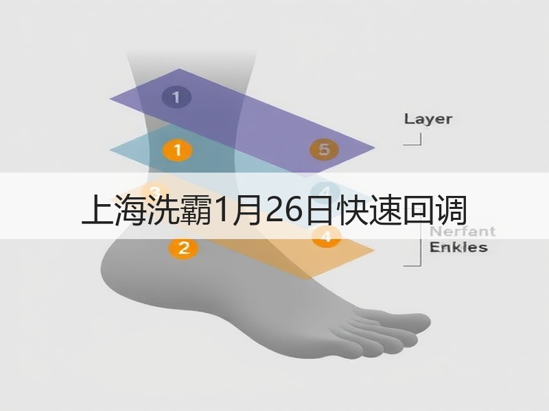 上海洗霸1月26日快速回调
