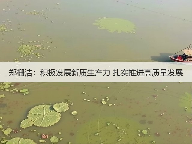 郑栅洁:积极发展新质生产力 扎实推进高质量发展(图1) 郑栅洁:积极发展新质生产力 扎实推进高质量发展(图1)