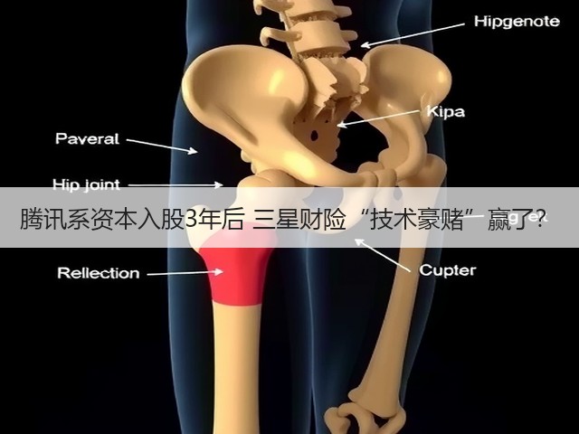 腾讯系资本入股3年后 三星财险“技术豪赌”赢了？(图1)