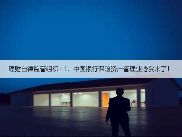 理财自律监管组织+1,中国银行保险资产管理业协会来了!(图1) 理财自律监管组织+1,中国银行保险资产管理业协会来了!(图1)