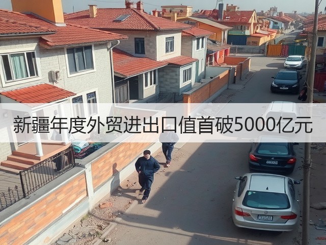新疆年度外贸进出口值首破5000亿元(图3) 新疆年度外贸进出口值首破5000亿元(图3)