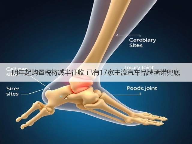 明年起购置税将减半征收 已有17家主流汽车品牌承诺兜底(图2) 明年起购置税将减半征收 已有17家主流汽车品牌承诺兜底(图2)