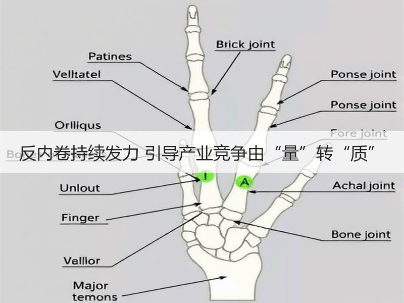 反内卷持续发力 引导产业竞争由“量”转“质”
