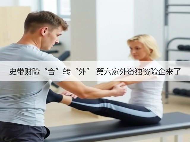史带财险“合”转“外” 第六家外资独资险企来了(图1)