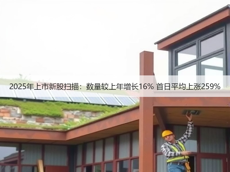 2025年上市新股扫描：数量较上年增长16% 首日平均上涨259%