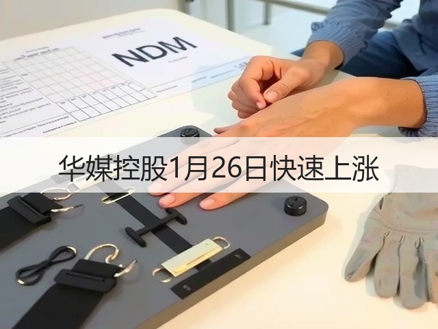 华媒控股1月26日快速上涨(图1) 华媒控股1月26日快速上涨(图1)