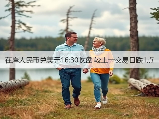 在岸人民币兑美元16:30收盘 较上一交易日跌1点(图3)