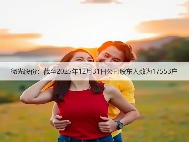 微光股份：截至2025年12月31日公司股东人数为17553户(图2)