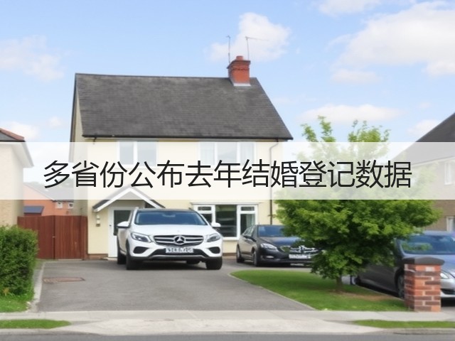多省份公布去年结婚登记数据(图1)