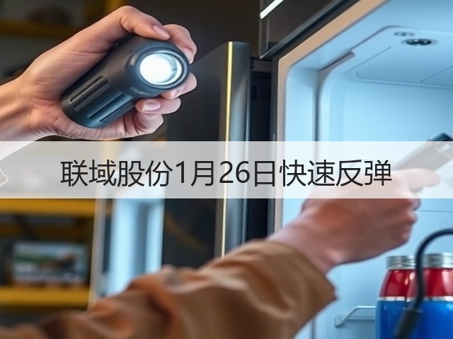 联域股份1月26日快速反弹(图1)