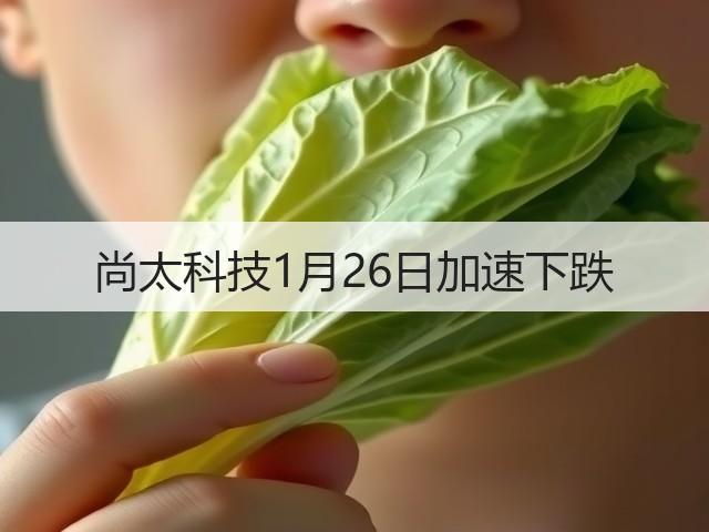 尚太科技1月26日加速下跌(图3) 尚太科技1月26日加速下跌(图3)