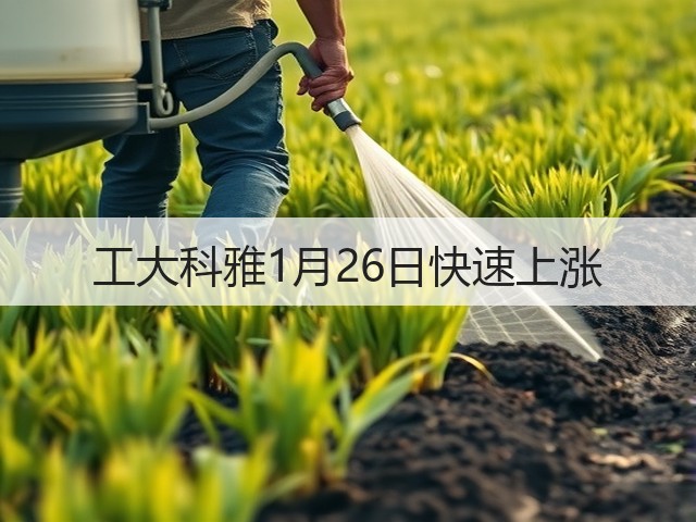 工大科雅1月26日快速上涨(图2) 工大科雅1月26日快速上涨(图2)
